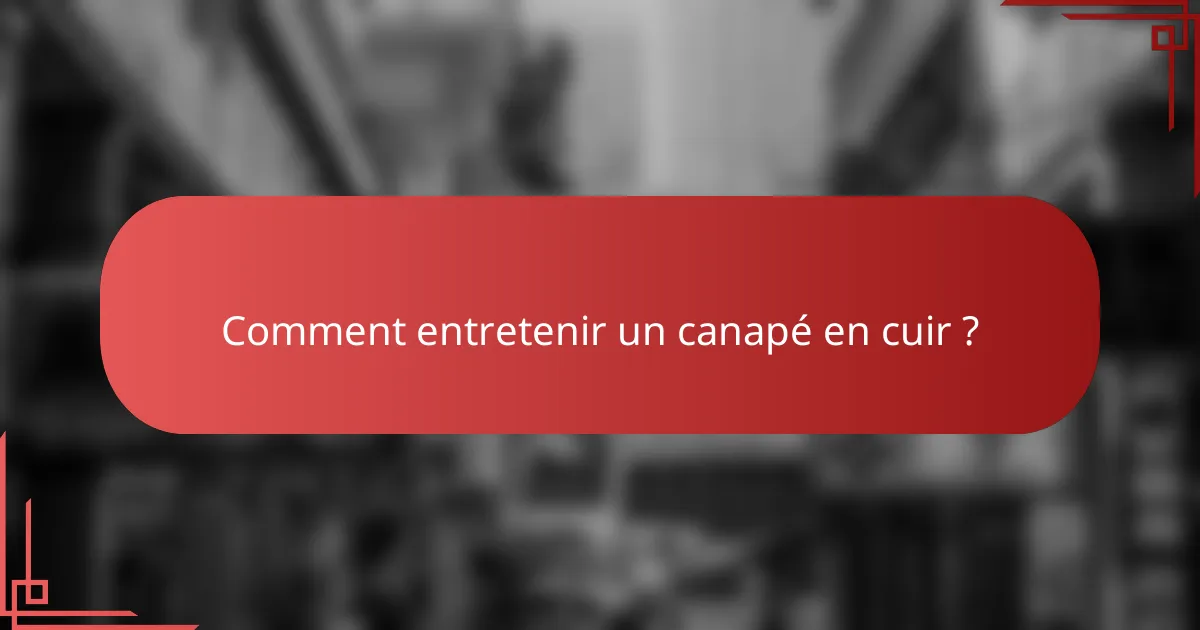 Comment entretenir un canapé en cuir ?