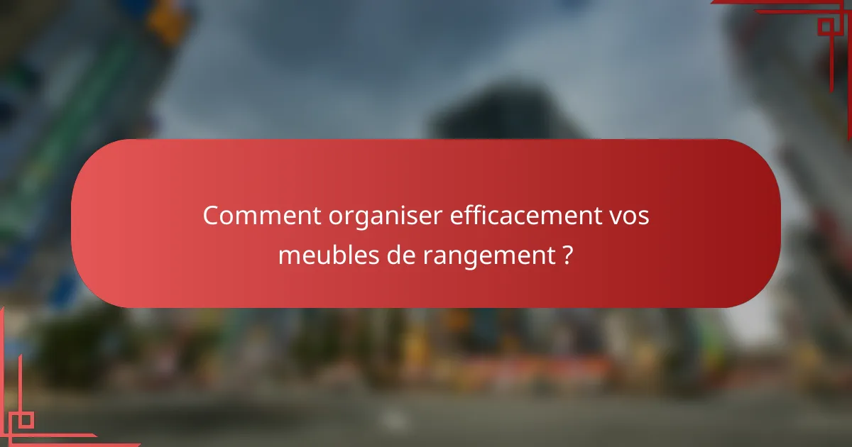 Comment organiser efficacement vos meubles de rangement ?