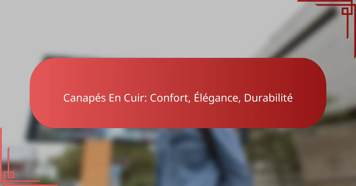 Canapés En Cuir: Confort, Élégance, Durabilité