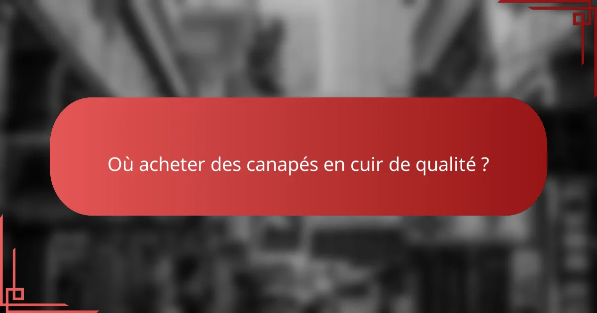 Où acheter des canapés en cuir de qualité ?