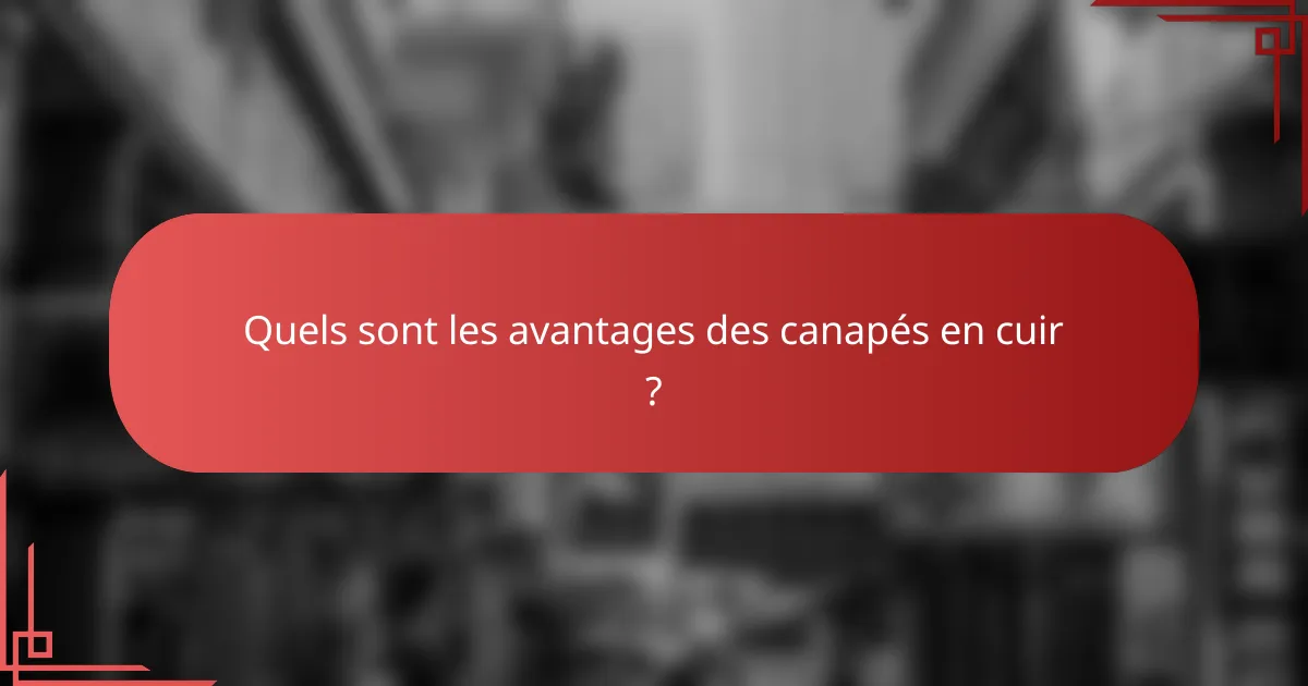Quels sont les avantages des canapés en cuir ?