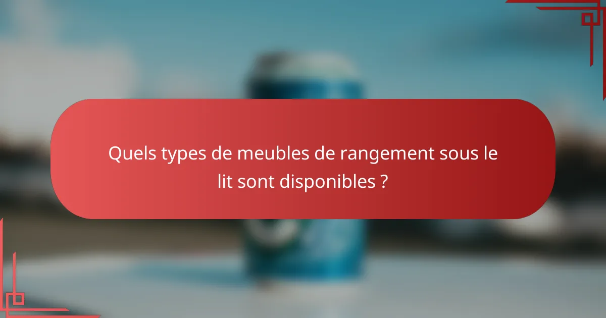 Quels types de meubles de rangement sous le lit sont disponibles ?
